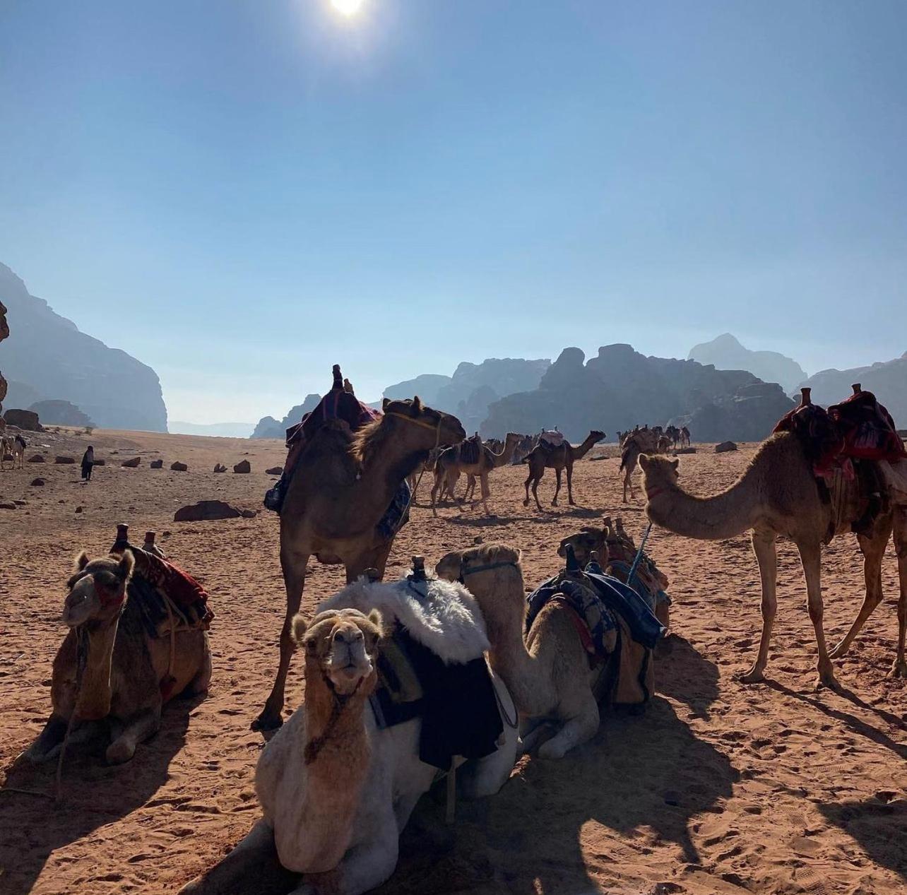 Wadi Rum Desert Camp Ad Disah Zewnętrze zdjęcie